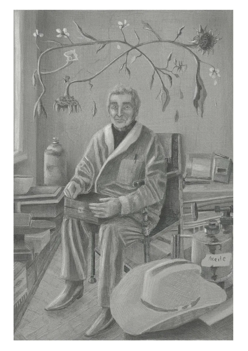 Jardin de nada illustration